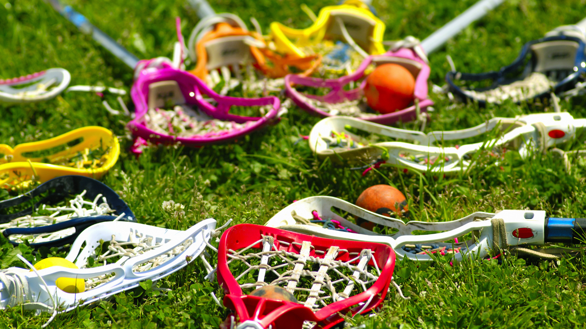 A group of lacrosse sticks lying in a field with a puck A group of lacrosse sticks lying in a field with a puck