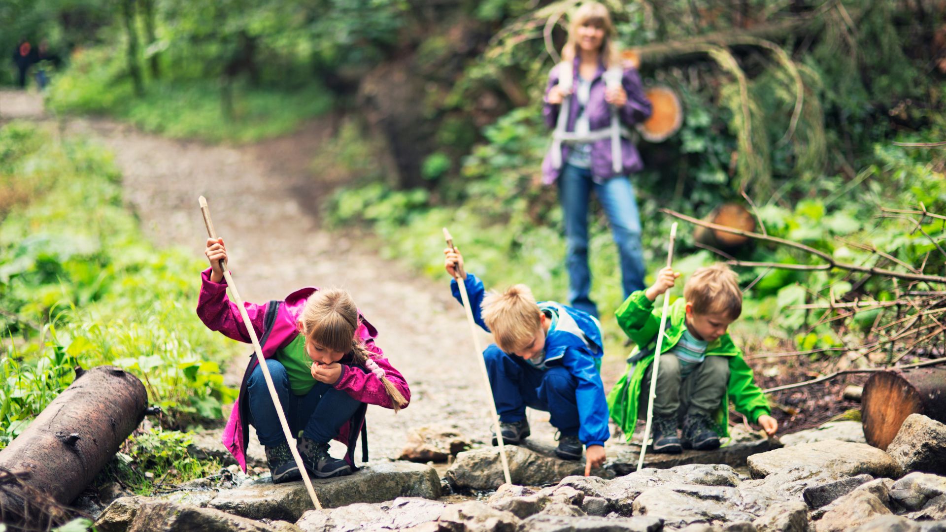 Group of kids having fun together in the woods Group of kids having fun together in the woods