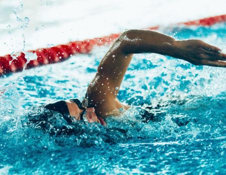 Adult swimmer swimming laps Adult swimmer swimming laps